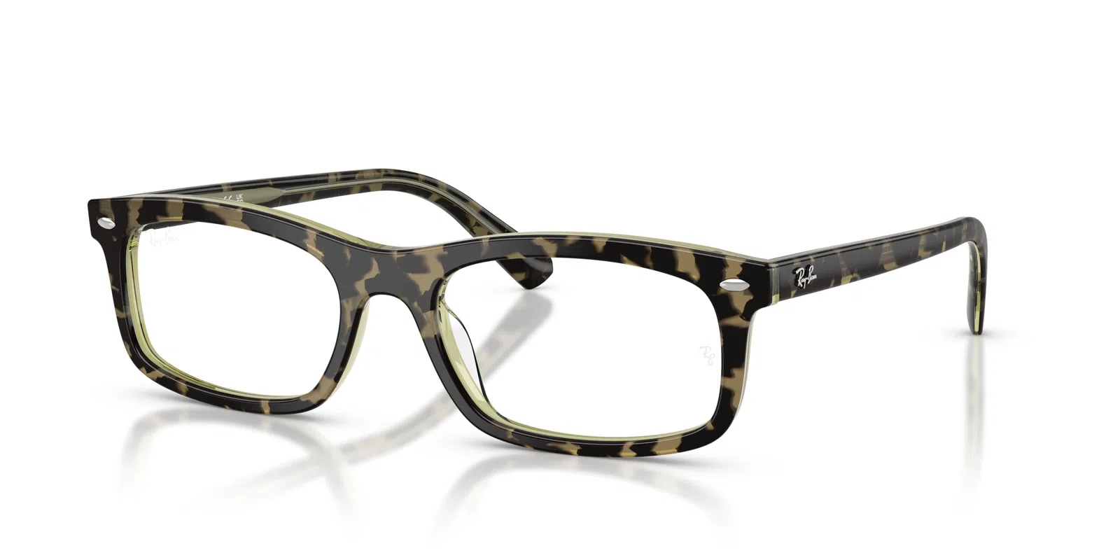 Ray-Ban 5450 Eyeglasses - view 13